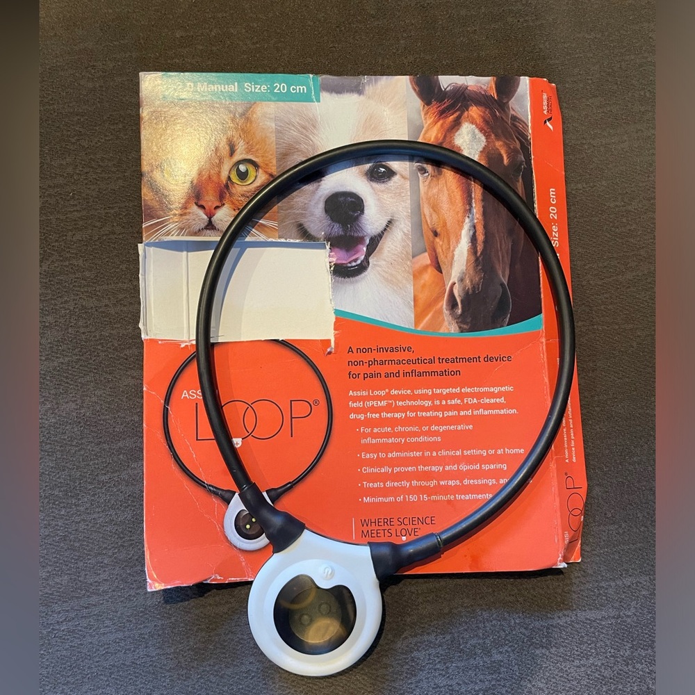 Assisi Loop 2.0 Manual Black Pet Therapy Device
